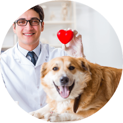 Cardiology
