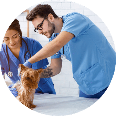 General Health Care